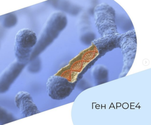 Ген ApoE