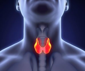 Щитовидка и кето